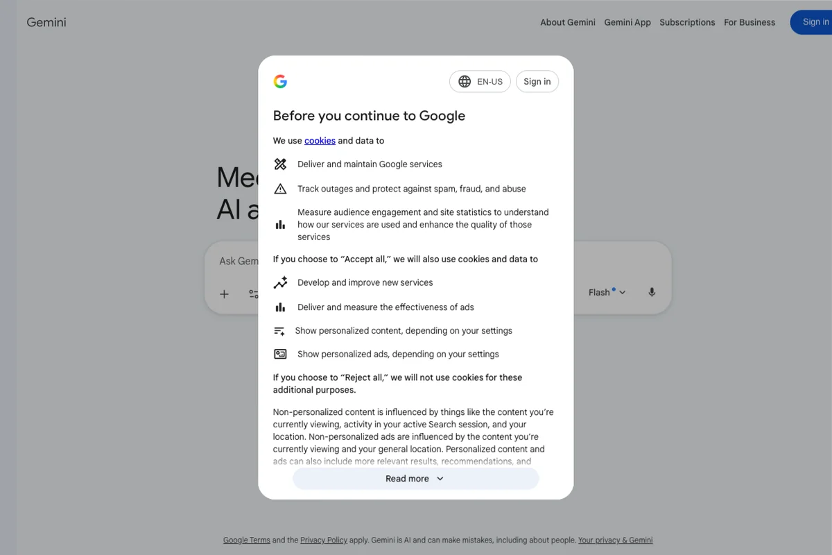 Interface de l'outil Gemini - Avis et Test